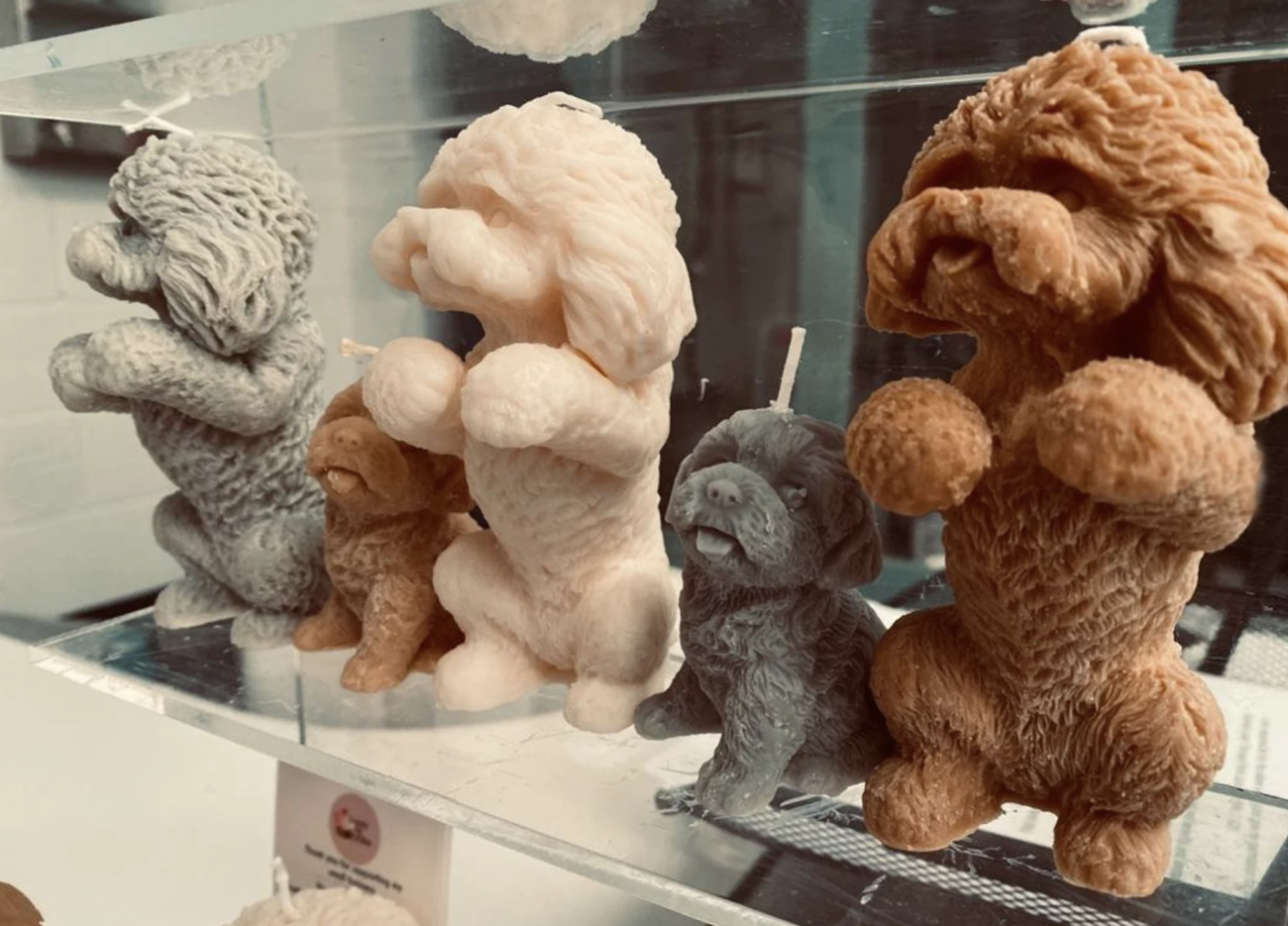 トイプードル,モチーフ,グッズ