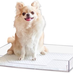 クリアレット[オーエフティー]