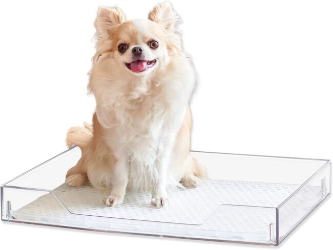 クリアレット[オーエフティー]