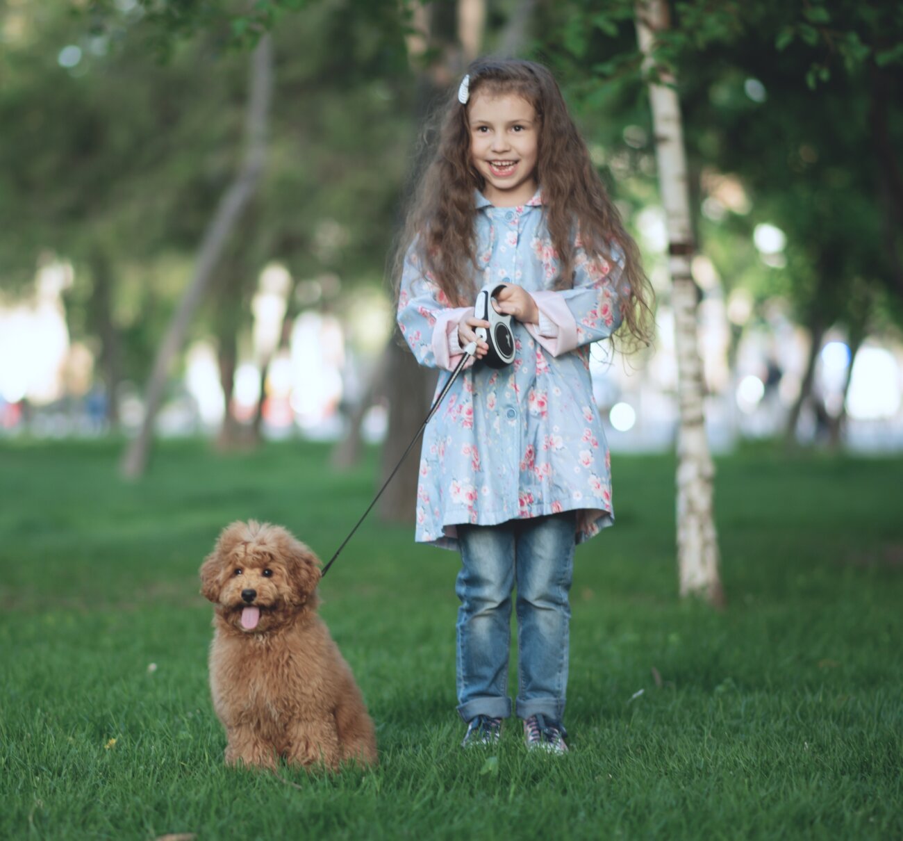 トイプードルライフ,子犬,基本情報,性格