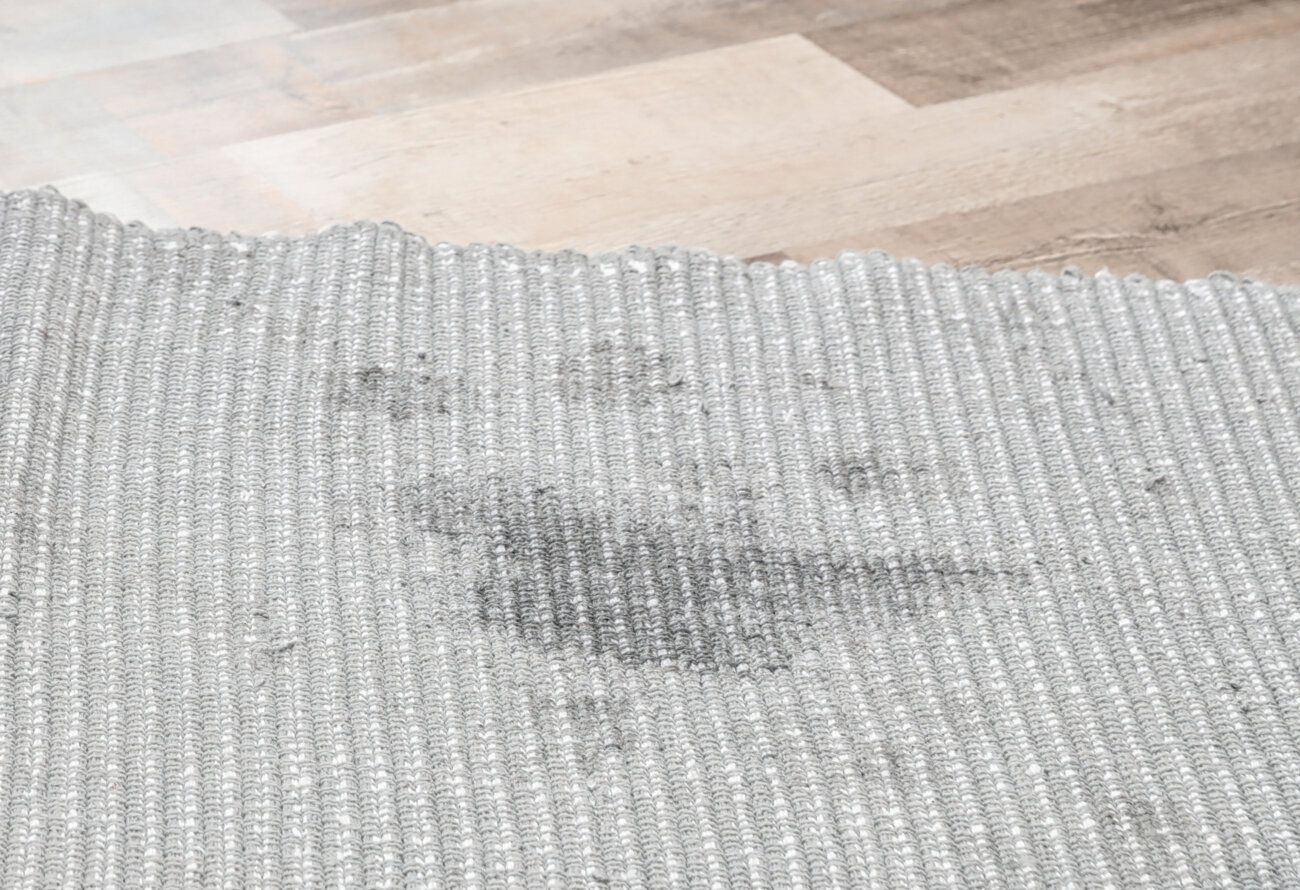 トイプードルライフ,子犬,基本情報,性格