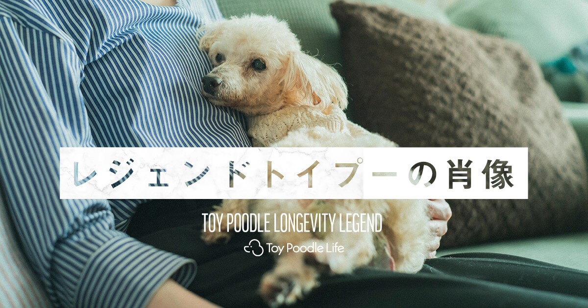 トイプー TPL_legend_FB_thum.jpg
