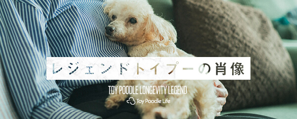 【特集】レジェンドトイプーの肖像ー15歳を超えて