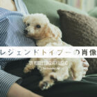 【特集】レジェンドトイプーの肖像ー15歳を超えて