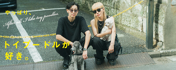 【特集】やっぱり、トイプードルが好き。