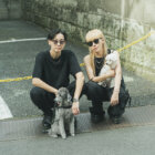 【特集】やっぱり、トイプードルが好き。