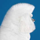 【特集】今日の、主役。