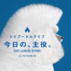 【特集】今日の、主役。