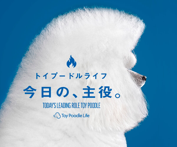 リクエストトイプードル作品 2023年カレンダー トイ・プードル | 株式会社誠文堂新光社