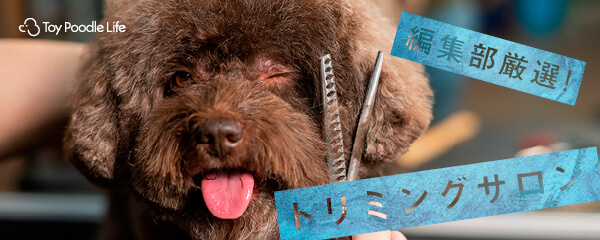 【特集】編集部厳選！トリミングサロン