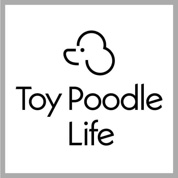トイプードルライフ