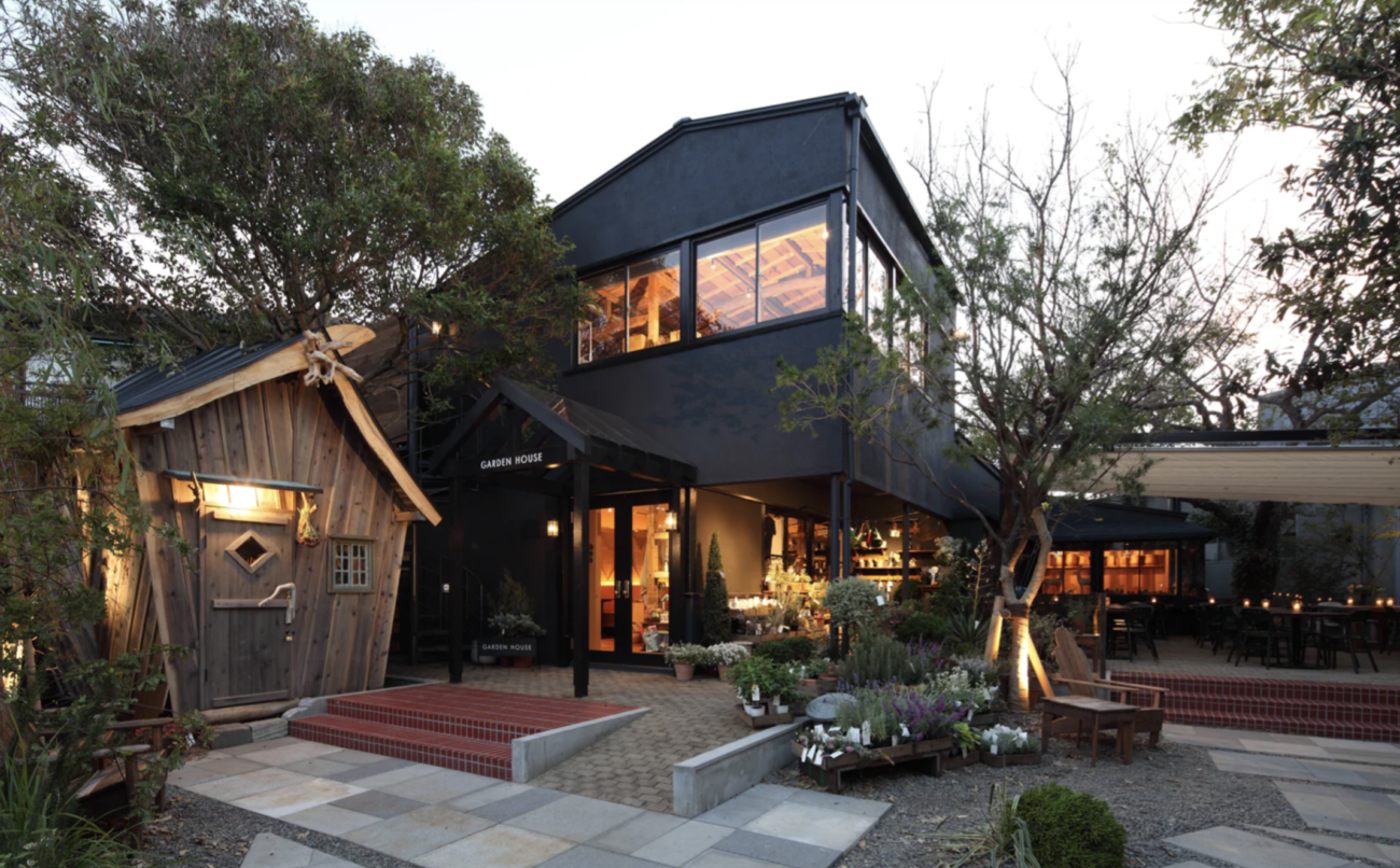 トイプードル,カフェ,鎌倉