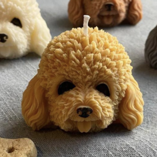 フェイスキャンドル