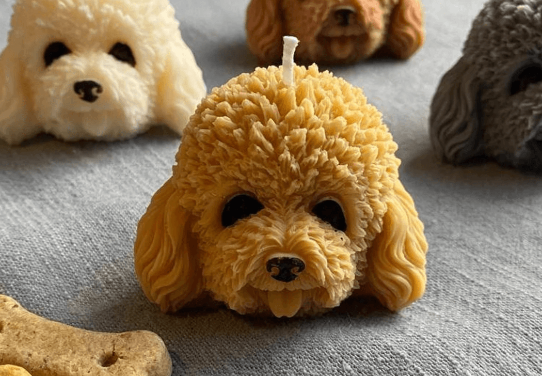 トイプードル,モチーフ,グッズ