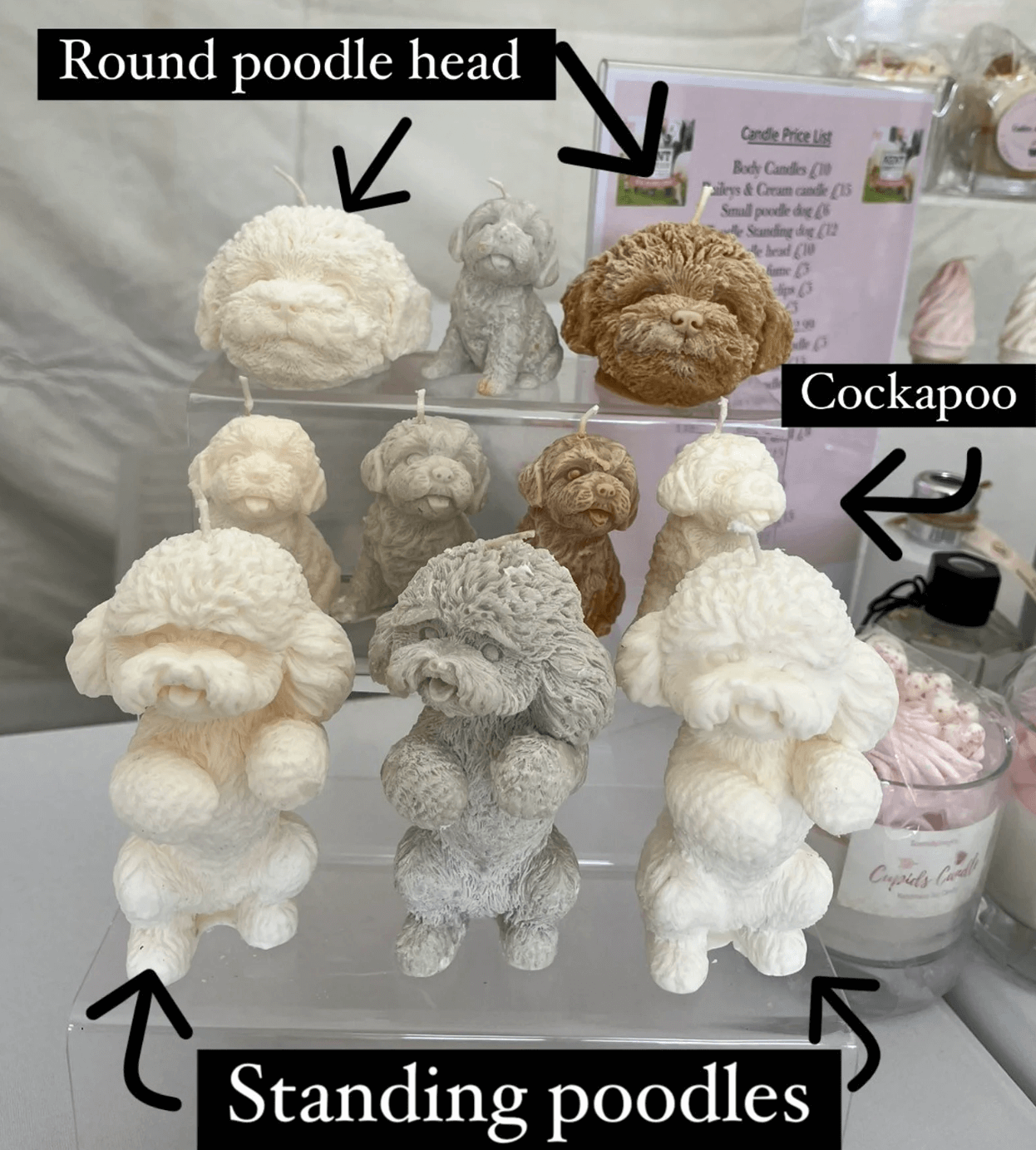 トイプードル,モチーフ,グッズ