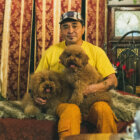 【取材】石野卓球ートイプードル2頭を溺愛する、裏面。