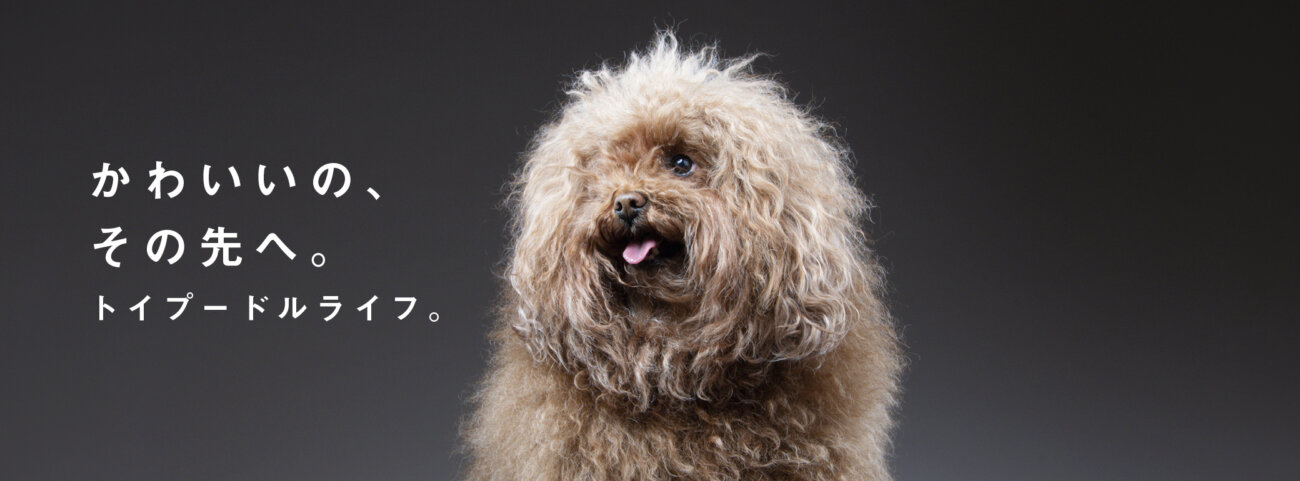 トイプードルライフ