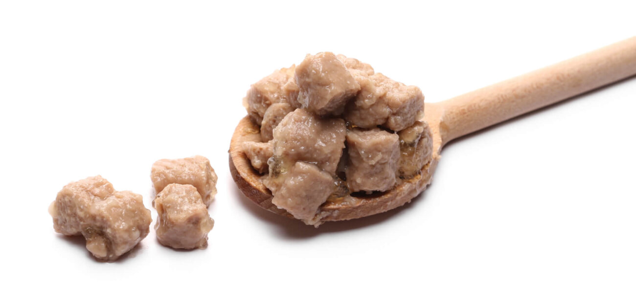 トイプードルライフ,子犬,基本情報,性格