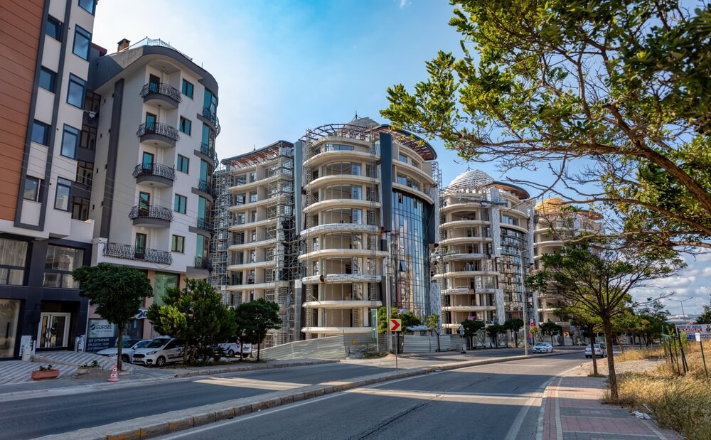 トイプードルライフ,トルコ,人気