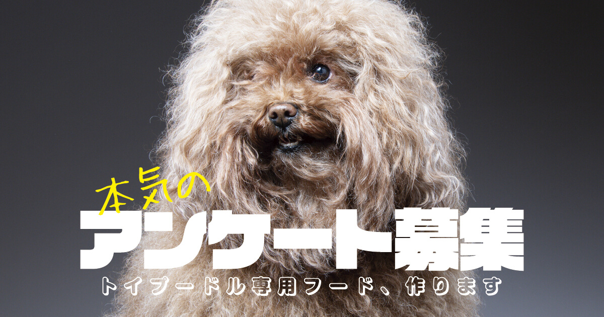 本気のアンケート募集】完全トイプードル専用のドッグフードを作ります