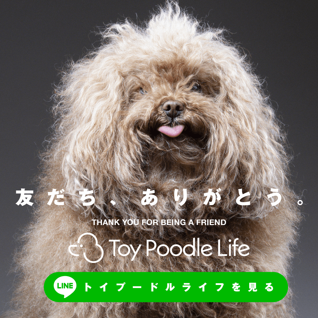トイプードルライフ, 公式LINE