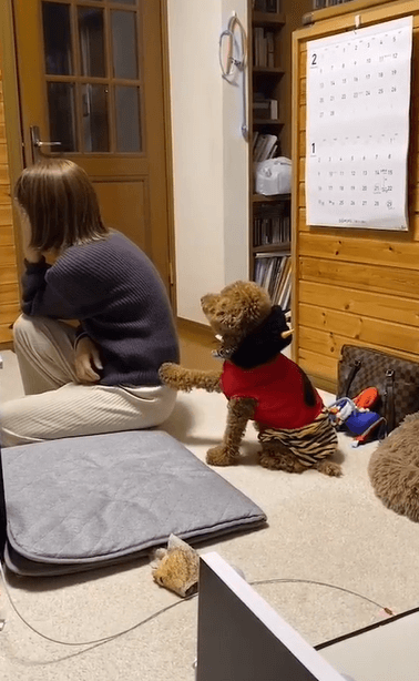 出典：Instagram（＠maminoe1219）