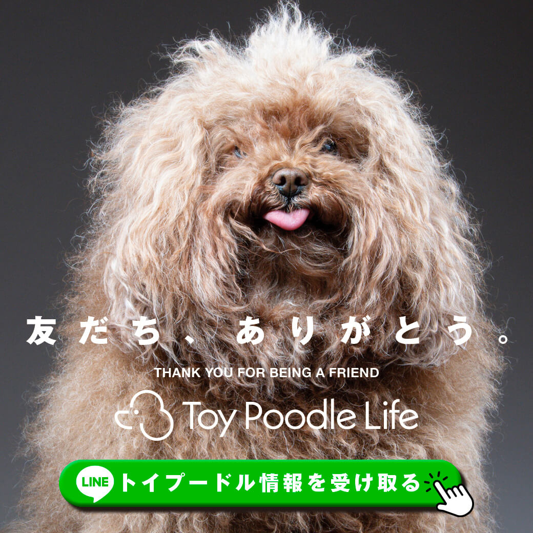トイプードル,LINE