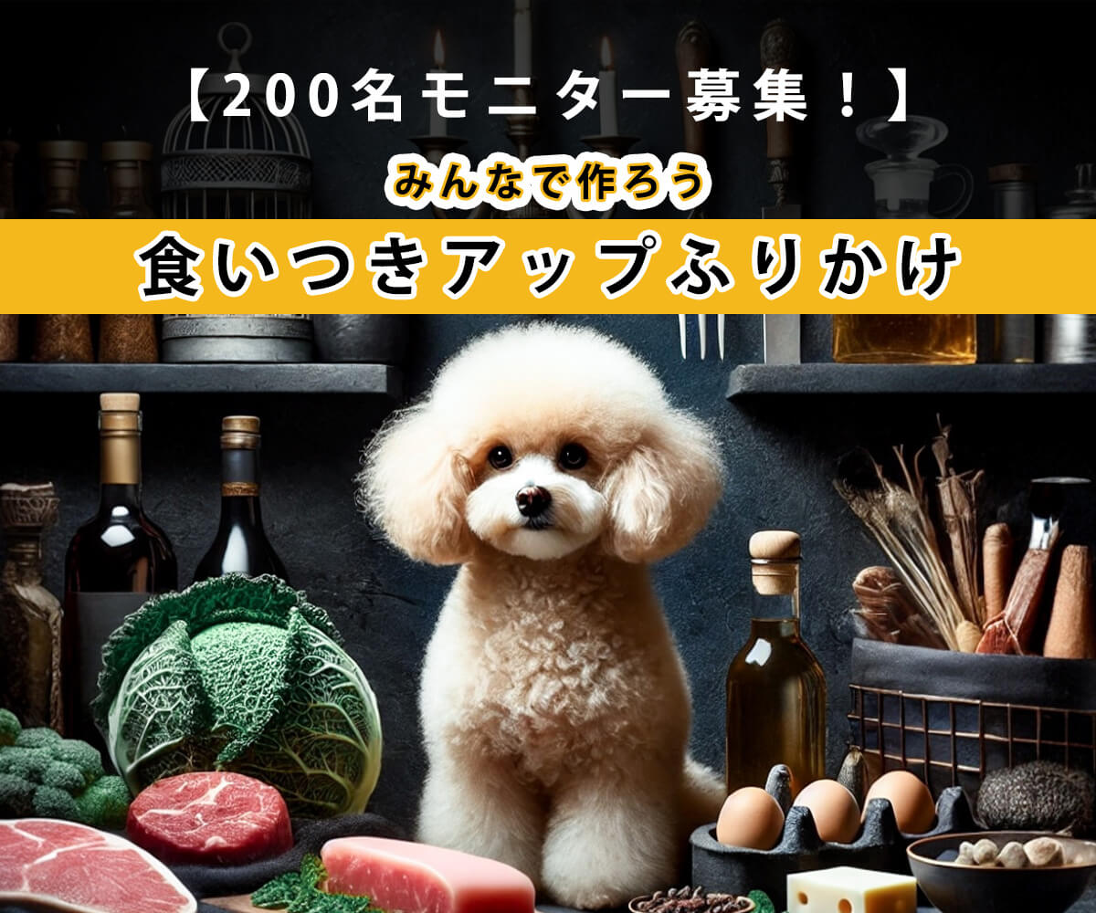 プードルさん専用 Kさん専用 kさん専用 k＿さん専用 kさん専用 Kkさん専用 ZX