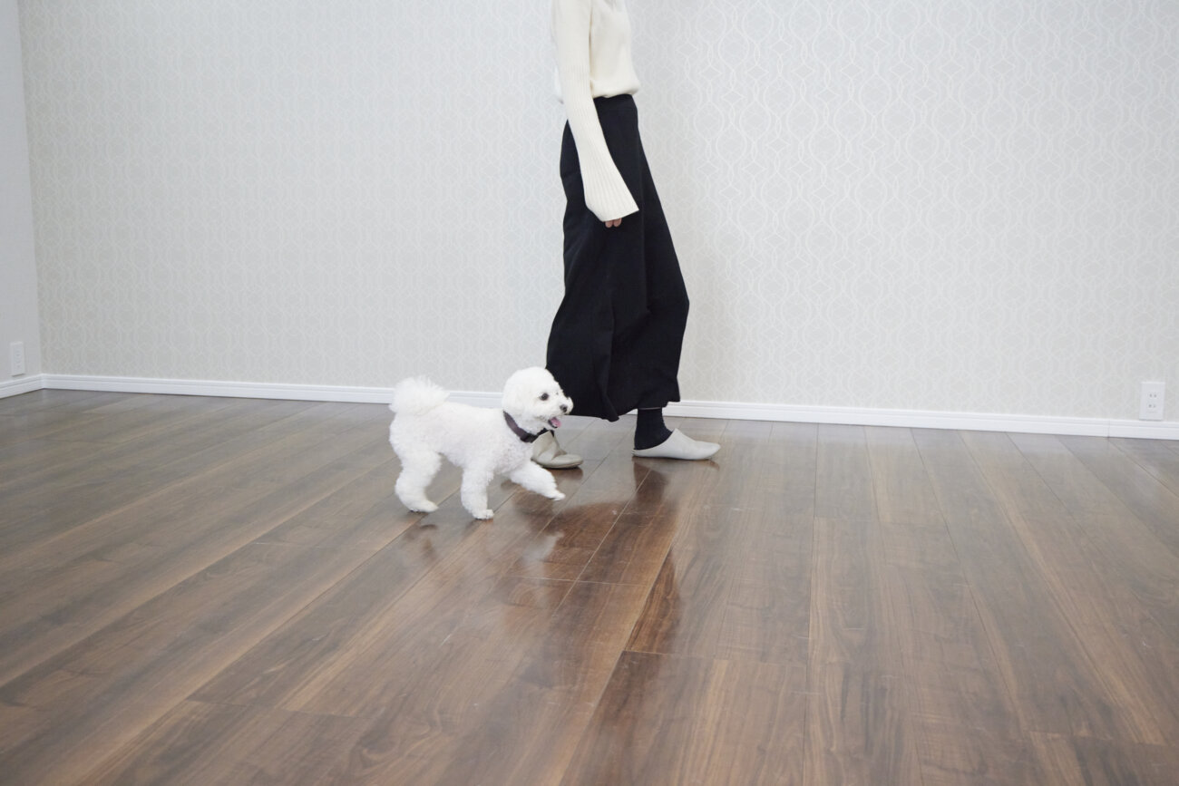 トイプー,すべらない床