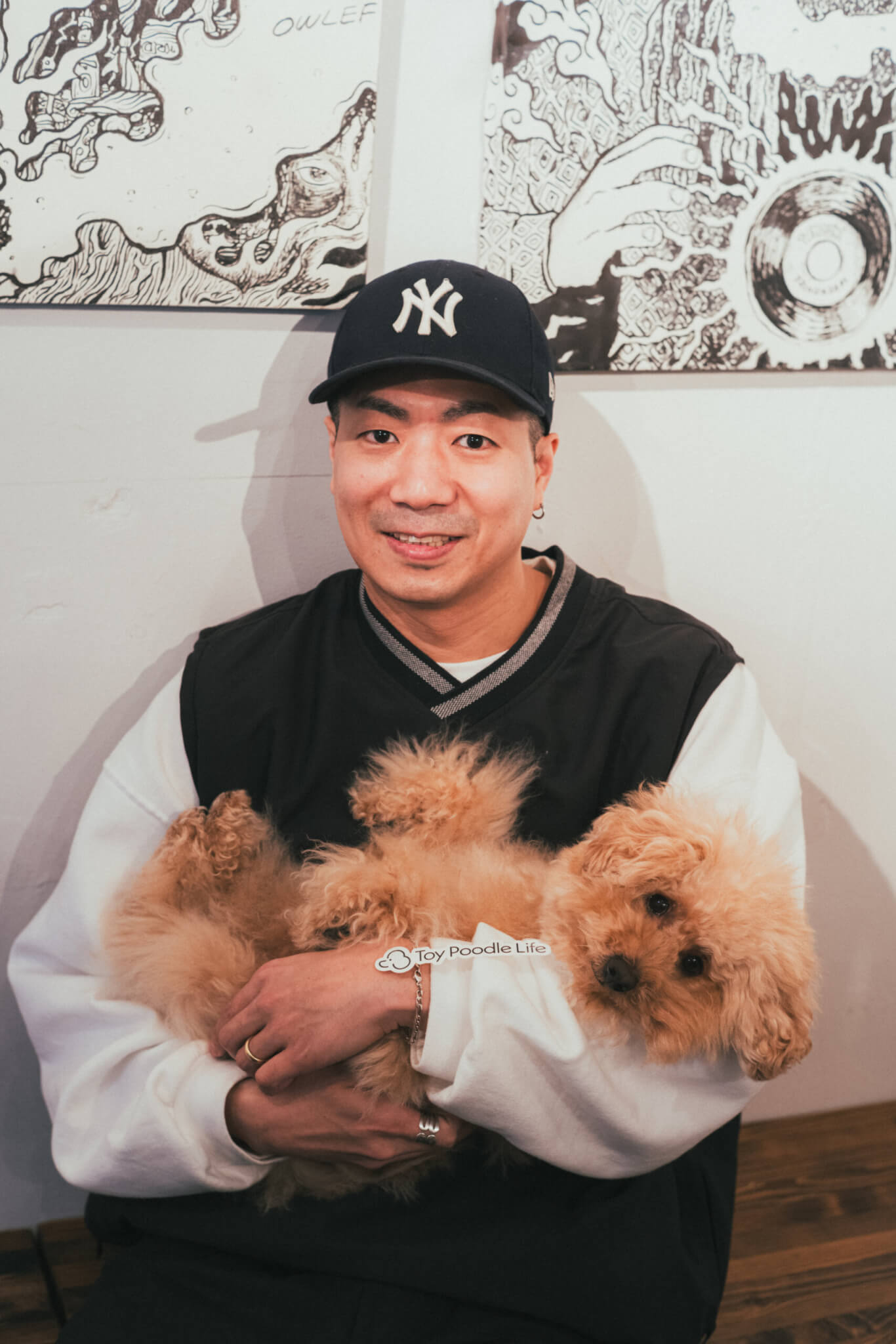 トイプードル, GABAWASH