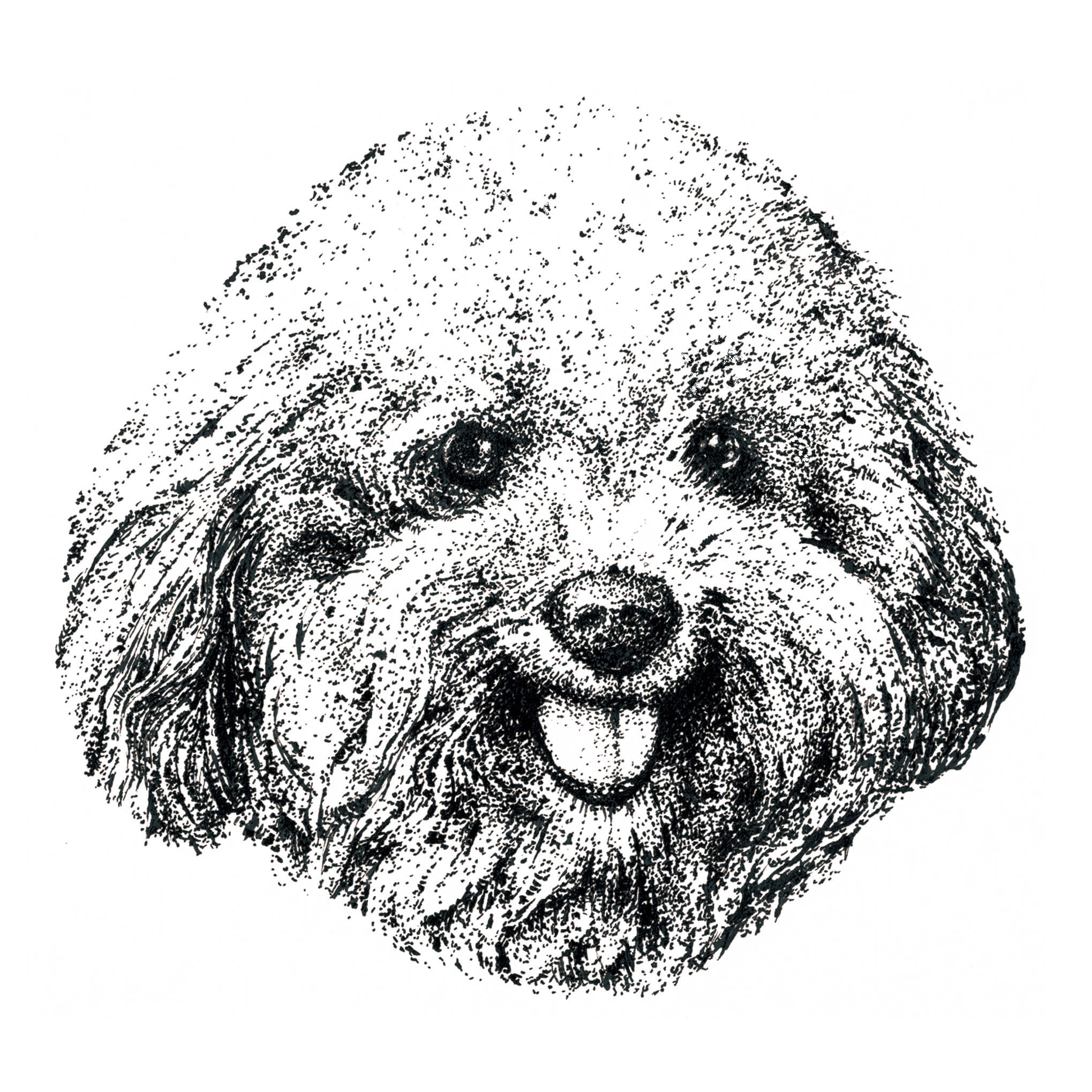 投票数で決定！】プードル専用フードのデザインをみんなで決めよう