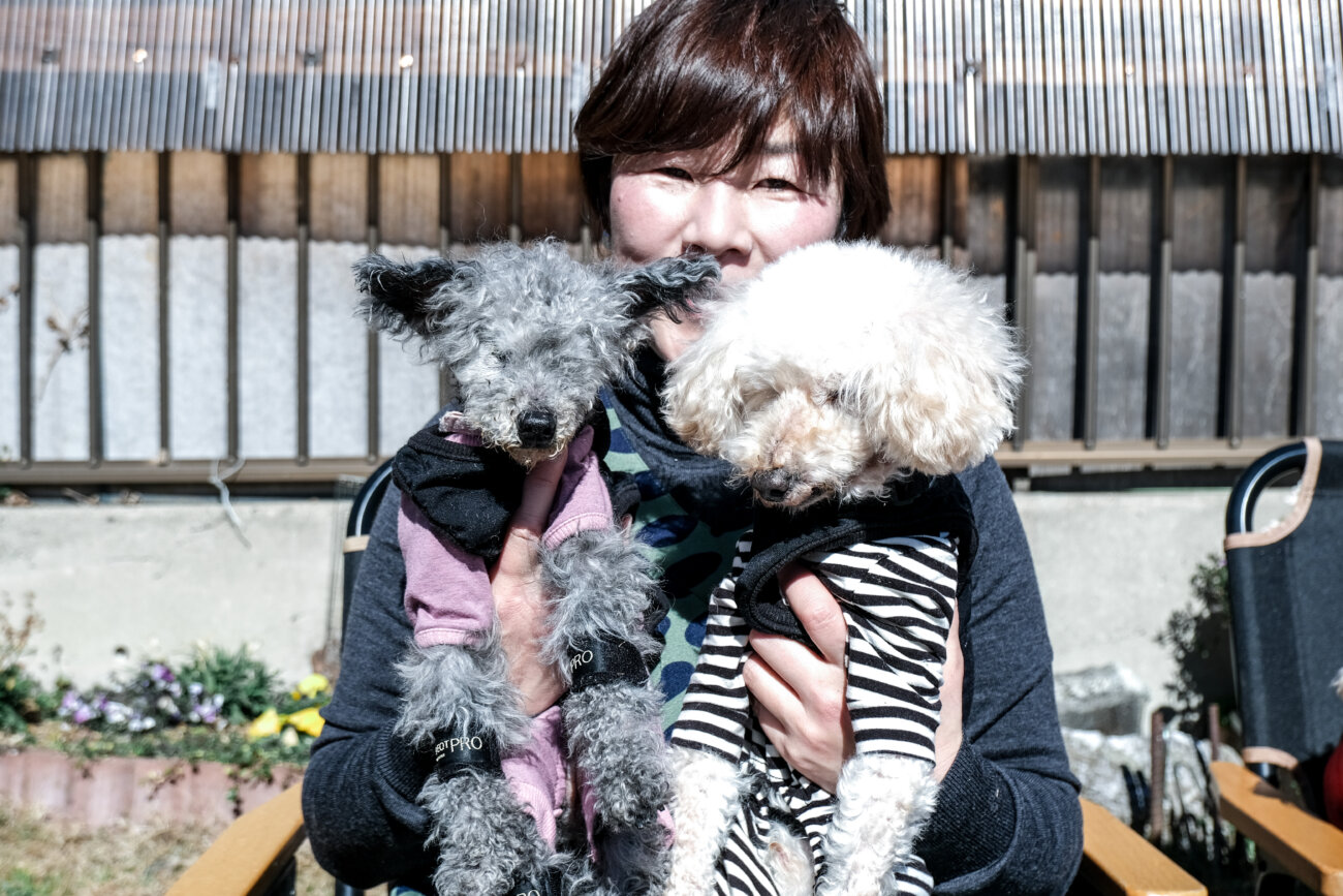 犬オーナー必見】20歳と19歳のトイプードル！食事の工夫、病気、サプリ