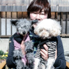 【犬オーナー必見】20歳と19歳のトイプードル！食事の工夫、病気、サプリ、愛犬グッズなど“長寿の秘訣”とは　＃2ソナ、ハチ