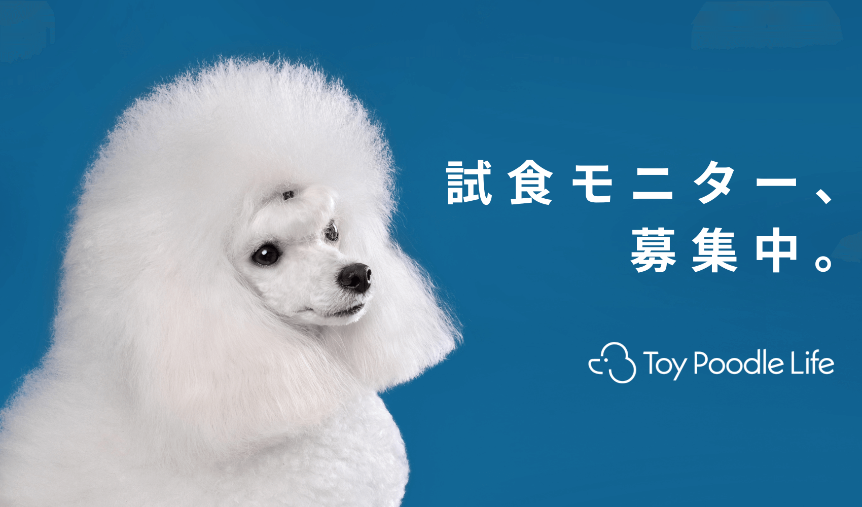 プードルさん専用 無料先行お試し100名様、大募集！】「THE fu-do(ザ・フード)for