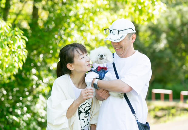 21歳・トイプードル】1日2回のお散歩が日課！毎日を健康に楽しく暮らす