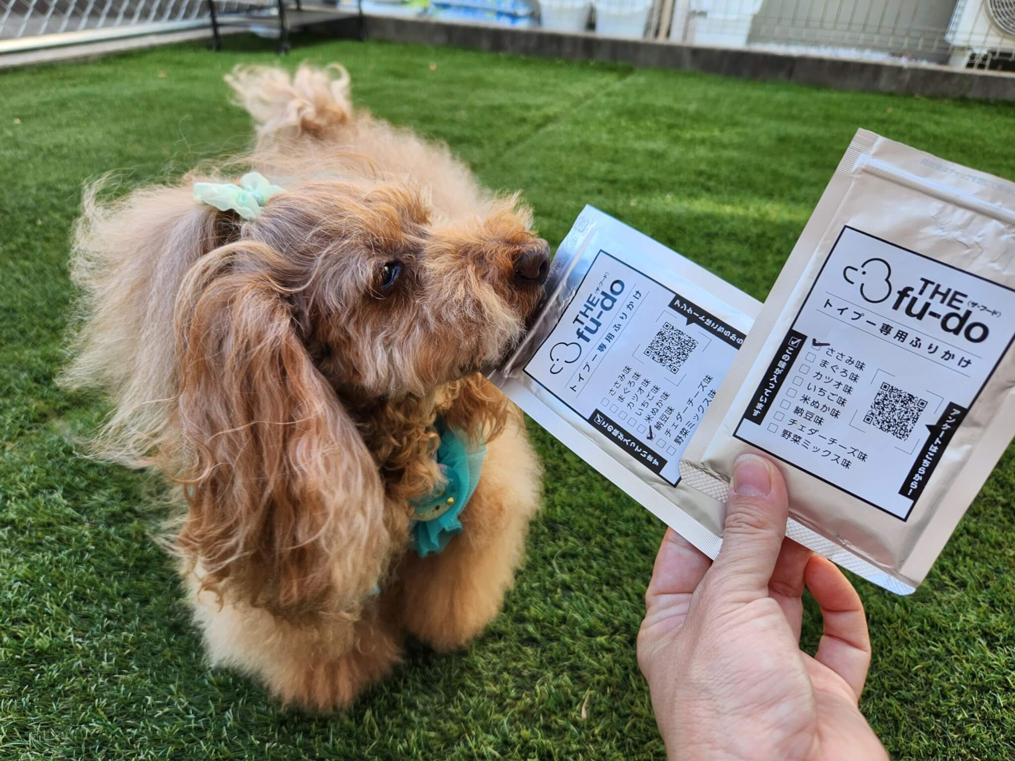 結果発表】プードル専用「食いつきアップふりかけ」、商品化される