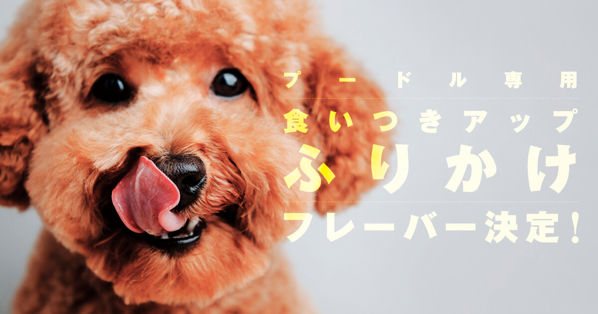 リクエストトイプードル作品 サンライズ スタイルズ トイプードル用 1.2kg（4973321924262）｜犬