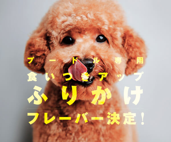 結果発表】プードル専用「食いつきアップふりかけ」、商品化される