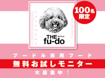 プードル, 「THE fu-do(ザ・フード)for プードル」